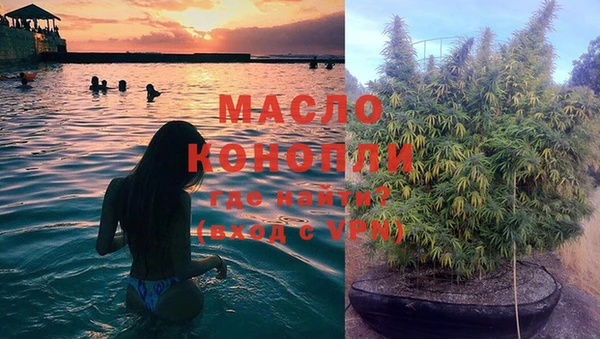 мдпв Бородино